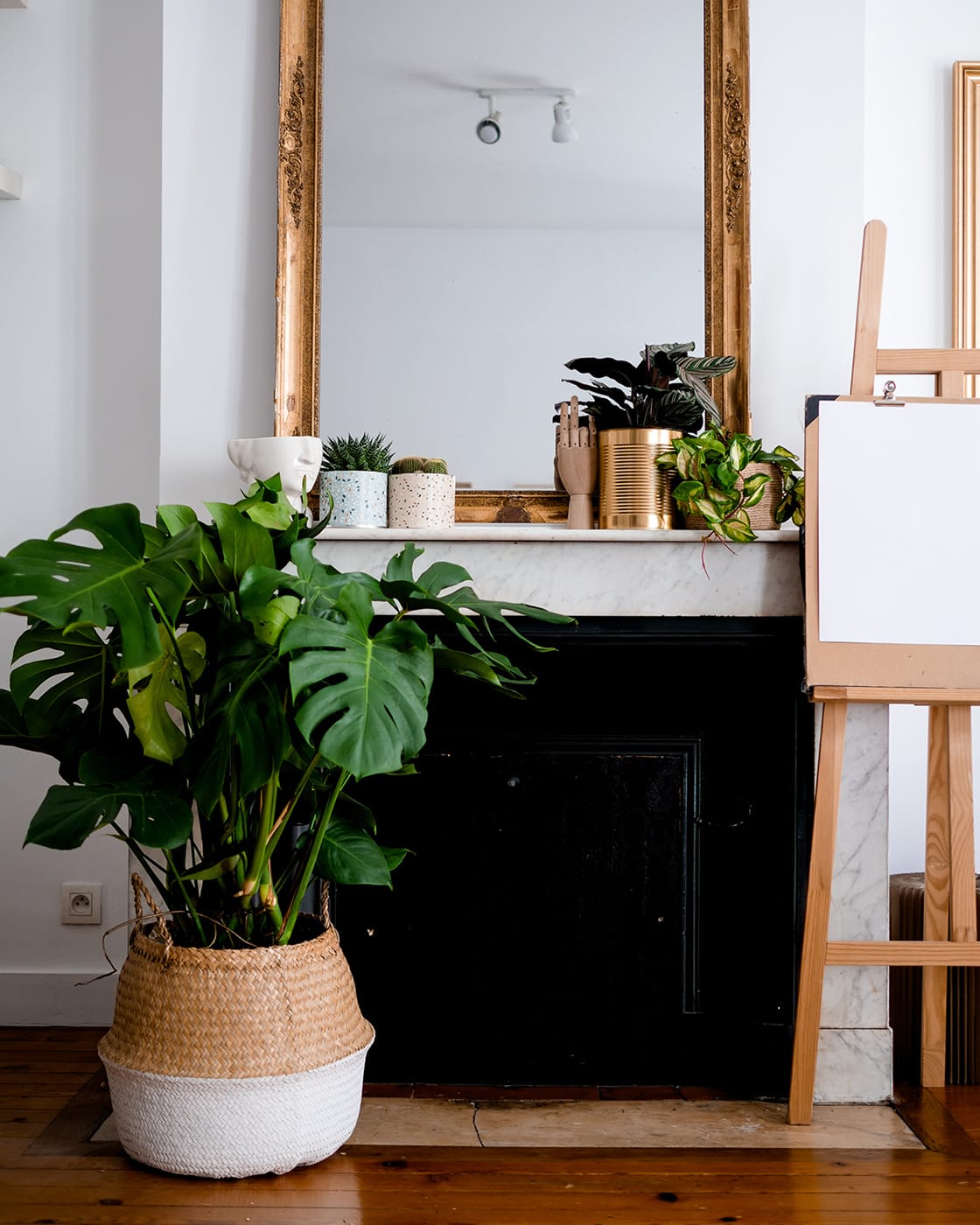 Livraison de fleurs et plantes avec Bergamotte à Bordeaux - Tribu Télétravail - Montera, décoration d'intérieur, avis