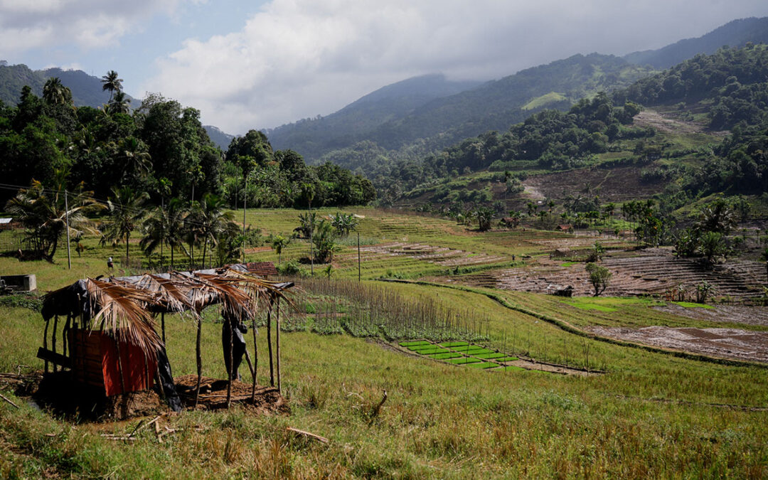 Sri Lanka – Conseils pour un voyage authentique