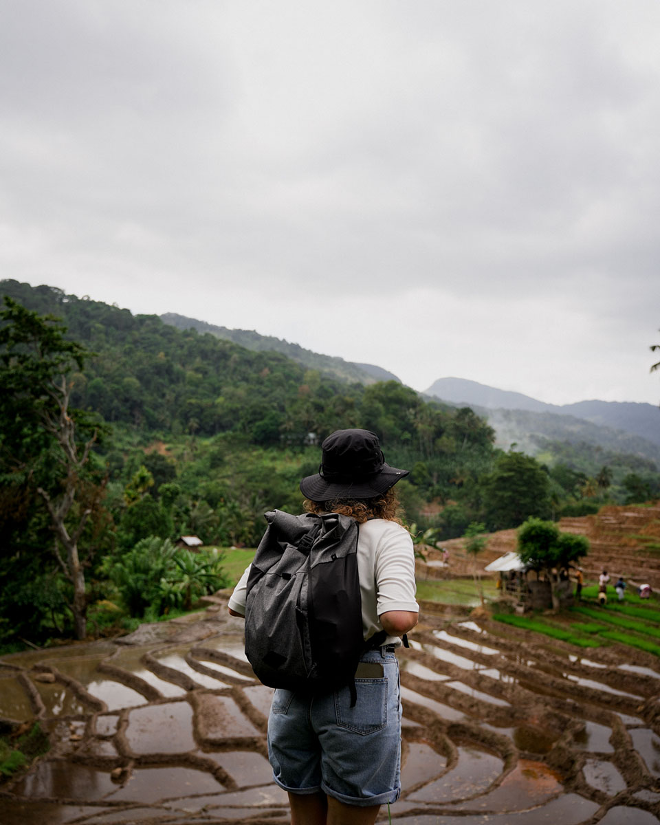 Voyage Sri-Lanka Sigiriya Kandy Colombo Bentota Shanti Travel Anti-Moustique Cinque sur Cinq Jungle Aventure Rizière