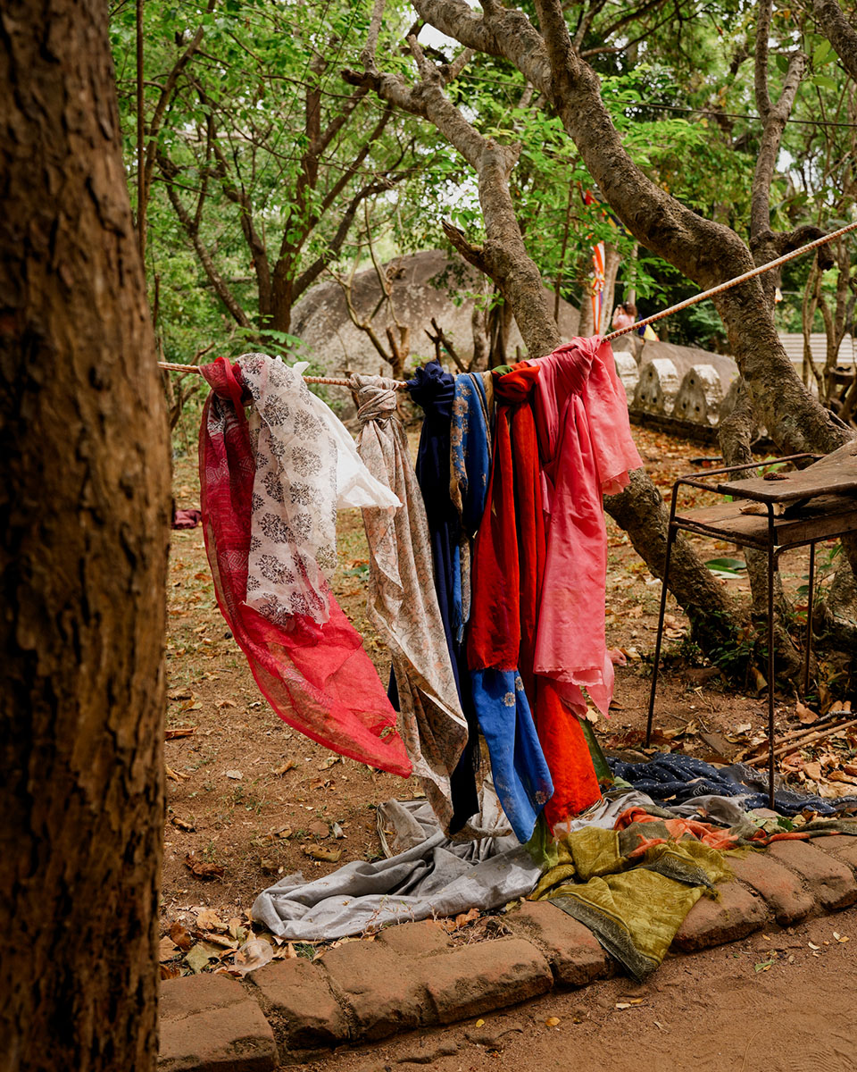 Voyage Sri-Lanka Sigiriya Kandy Colombo Bentota Shanti Travel Anti-Moustique Cinque sur Cinq Jungle Aventure Rizière