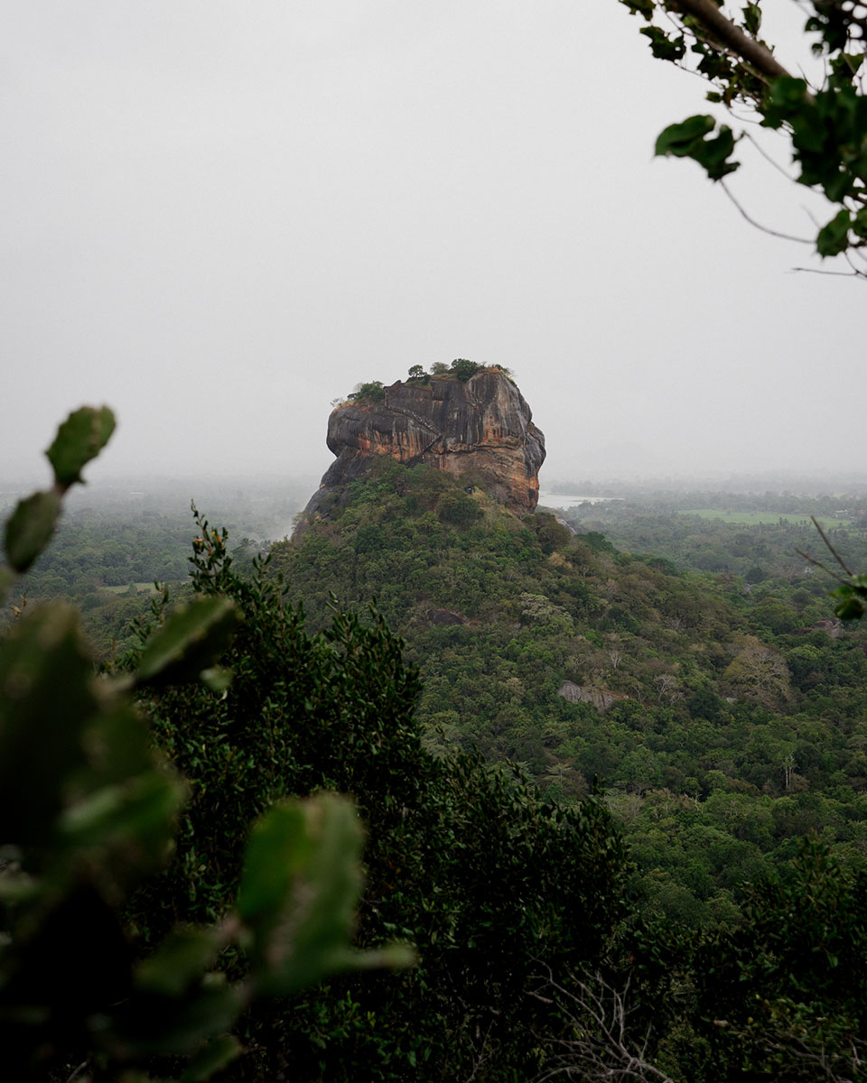 Voyage Sri-Lanka Sigiriya Kandy Colombo Bentota Shanti Travel Anti-Moustique Cinque sur Cinq Jungle Aventure Rizière