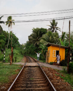 Voyage Sri Lanka Sigiriya Kandy Colombo Bentota Shanti Travel Anti-Moustique Cinque sur Cinq Jungle Aventure Rizière