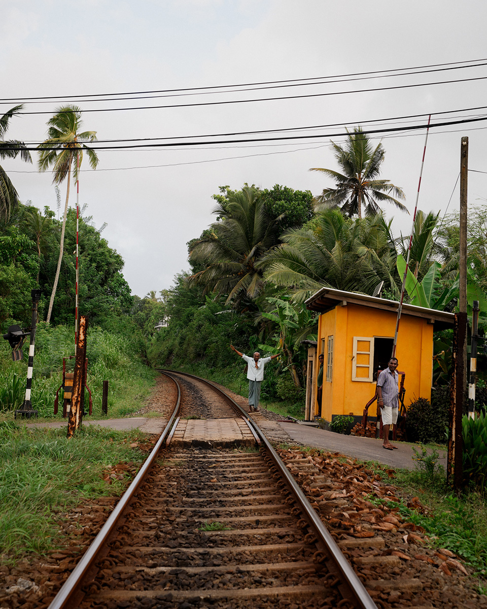 Voyage Sri-Lanka Sigiriya Kandy Colombo Bentota Shanti Travel Anti-Moustique Cinque sur Cinq Jungle Aventure Rizière