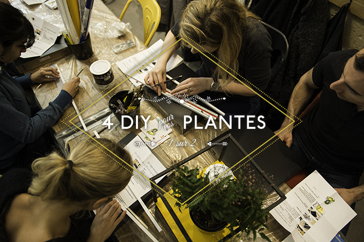4 DIY pour vos plantes [1/2]